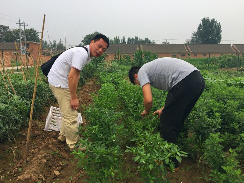 好利來(lái)郭總喊您來(lái)摘菜啦！綠色無(wú)公害，放心！