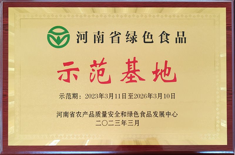 榮譽證書